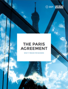 The Paris Agreement: what it means for business