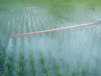 Pesticide spraying turning into major health hazard for farmers