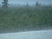 Cyclone Hudhud: Heavy rain across the Chhattisgarh