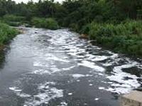 Poisoning a river of purity
