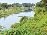 Incensed at blatant encroachment near Rispana river, Doon residents set to move NGT