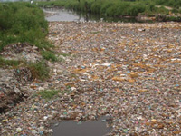 Poison in your plate: Veggies laced with banned pollutants make their way from Meerut to Delhi