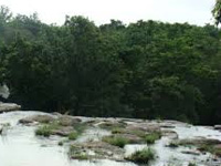 Man vs wild: Decision on MP river project soon