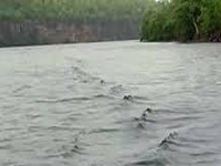 Ken-Betwa river linking project: MP govt mulls creation of 8,000-ha buffer zone