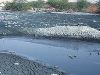 No Central government plan to clean Bandi river, Nehda dam