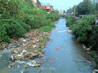 Monitoring committee constituted to check river pollution