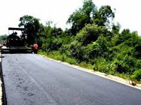International Road Federation urges CM to construct green roads