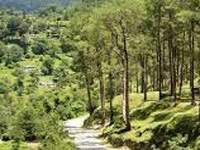 1,000 roads in Kumaon await forest clearance