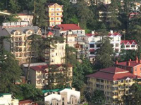 Construction in Shimla: NGT forms panel to study ecology