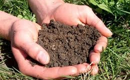 Of soils, subsidies and survival: a report on living soils