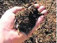 Soil health card project makes headway