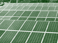 Chandigarh receives 42 bids for installing solar panels