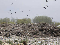 Solid waste management units proposed in 49 GPs