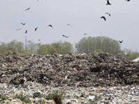 Ghazipur landfill site: NGT summons commissioners of police, EDMC