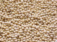 Industry body raises concerns over ‘illegal’ imports of GM soyabean