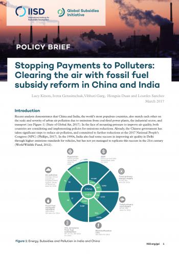 Stopping payments to polluters: clearing the air with fossil fuel subsidy reform in China and India 