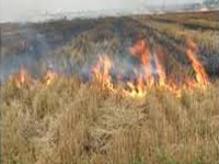 City wheezes as farmers continue to burn stubble