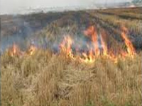 Stubble burning: CM incentives for farmers from Modi