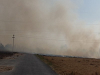 Vans to create awareness against stubble burning