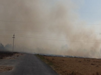 ‘Burning dry grass increases smog, leading to cold, cough’
