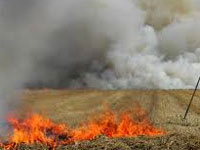 Change policy to stop crop fire