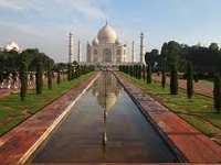 Report sought on tree-felling around Taj