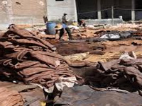 2 out of 91 closed tanneries get permission to operate