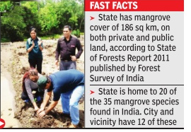 German help for mangrove sanctuary plan