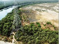 Report says mangrove cover untouched, activists aghast