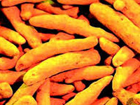 Coal miners switch to turmeric farming