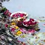 Suffocated by sacredness India's holy Yamuna river stifled by pollution 