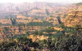 Panel on W Ghats had warned against landslips