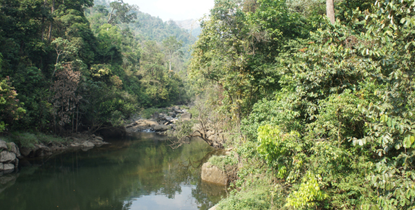 Order of the National Green Tribunal with regard to Dr. Gadgil Report and Dr. Kasturirangan Report on Western Ghats, 1 Oct 2013