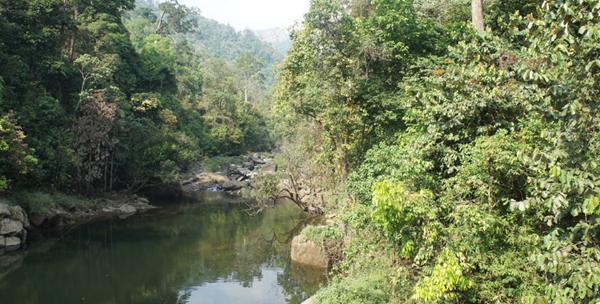 MoEF will take the final decision on Western Ghats in a month