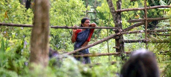 Draft notification declaring Ecologically Sensitive Area in Western Ghats in the states of Gujarat, Maharashtra, Goa, Karnataka, Kerala and Tamil Nadu