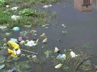 NGT pulls up Haji Ali for poor waste management