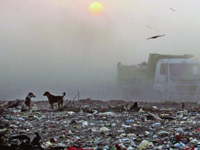 HC orders disposal of Kaushambi waste