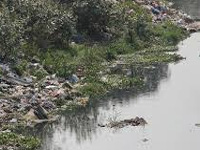 NGT bars dumping of garbage along Cooum in Nolambur