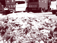 75 major cities to be rated for cleanliness in survey conducted by Centre