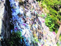 Reserve forest turned into dumping ground in Haridwar