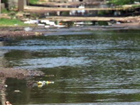 Colonies manage to turn around water table