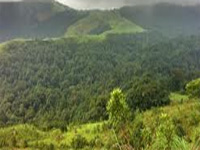 Protecting Western Ghats: Environment ministry gets green signal for final draft