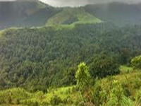 Conserve bio-diversity of Western Ghats, says expert