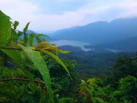 The Western Ghats: biodiversity hotspot