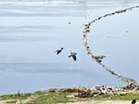 Committee to inspect Yamuna water level